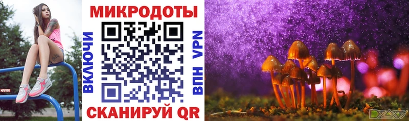 Галлюциногенные грибы Cubensis  Чулым 
